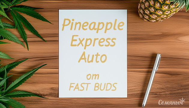 Гроурепорт сорта Pineapple Express Auto