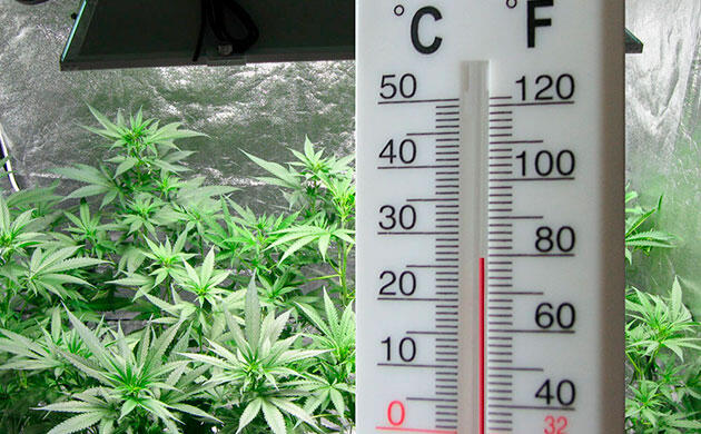 Рекомендации при переохлаждении почвы Переохлаждение почвы