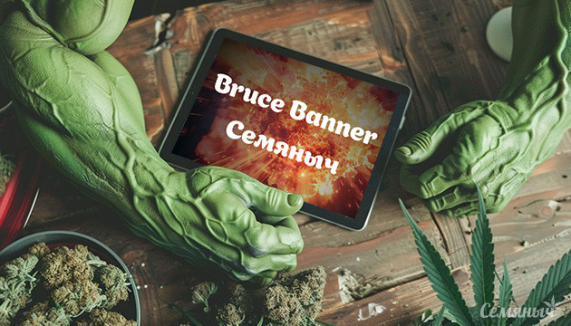 Гроурепорт сорта Bruce Banner fem от Семяныча