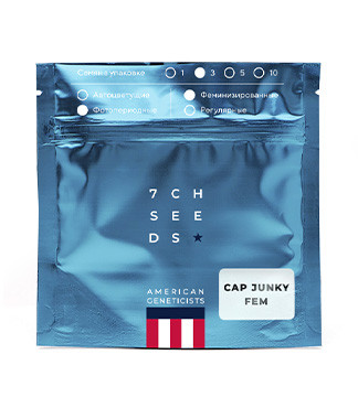 Cap Junky fem (7CH American)