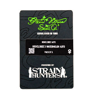 HighCloudZ Auto fem (GHS)